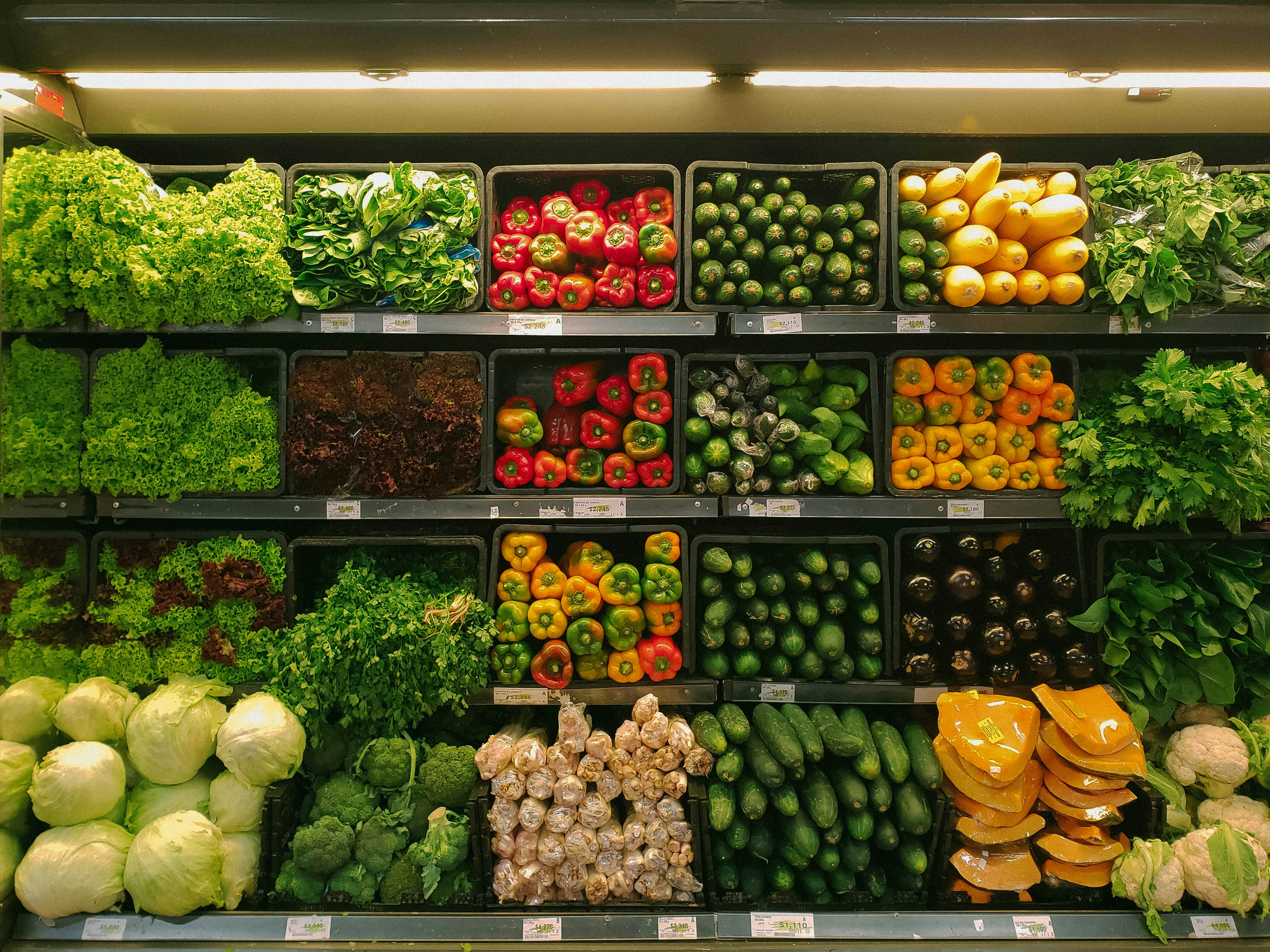 Fresh vegetables background