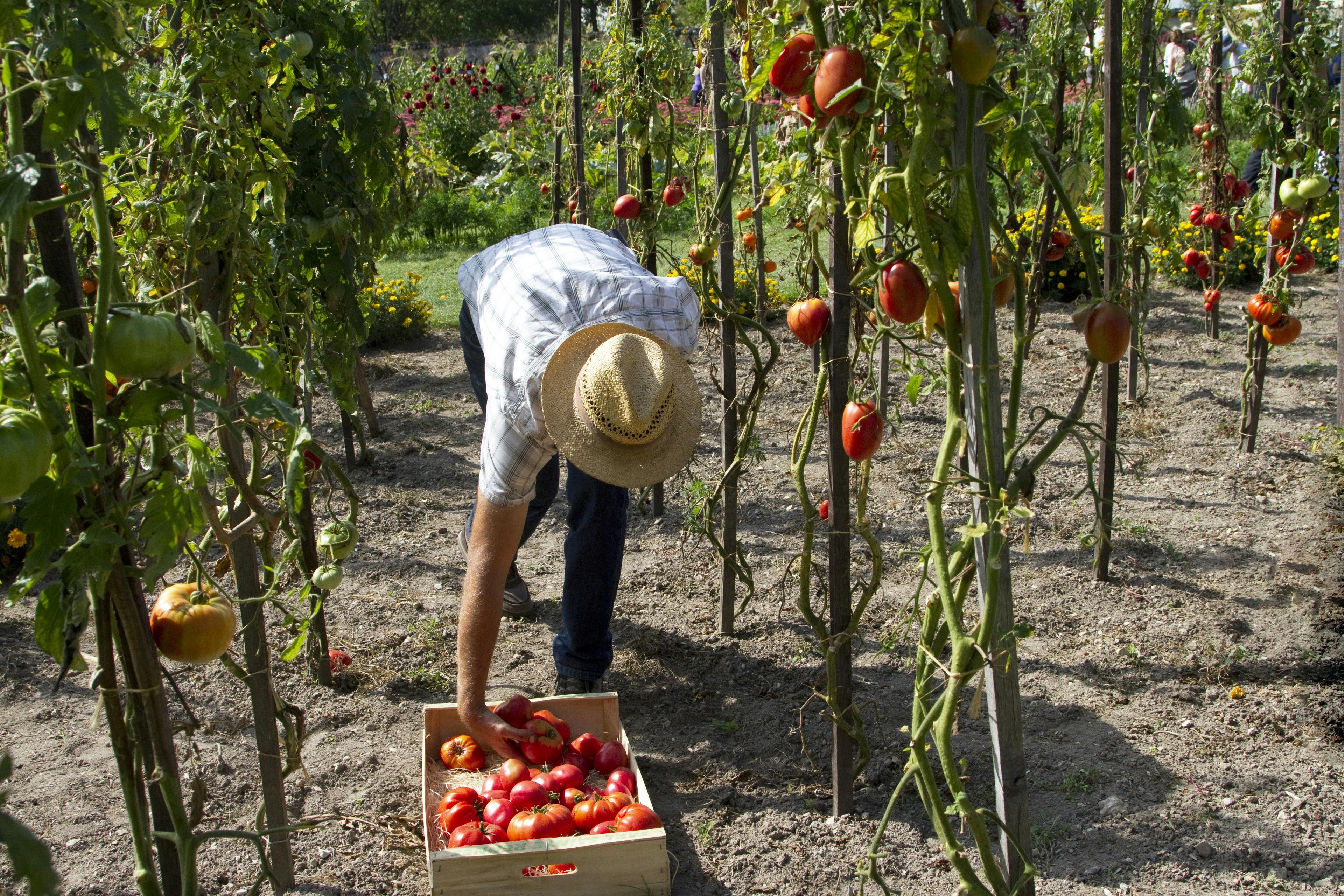 Landwirt bei der Arbeit